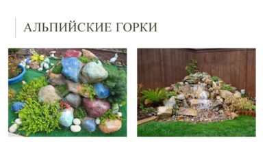 Photo of Благоустройство приусадебного участка